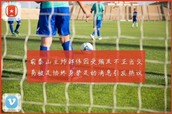 前泰山主帅郝伟因受贿及不正当交易被足协终身禁足的消息引发热议