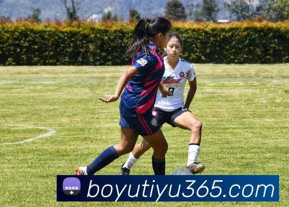 博鱼体育平台生态图